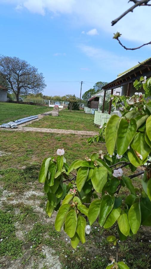Villa Diiva Curug Εξωτερικό φωτογραφία